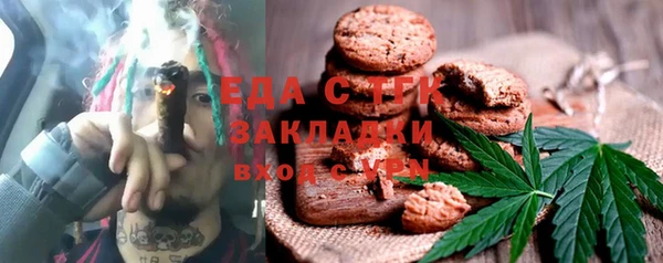 тгк Медногорск