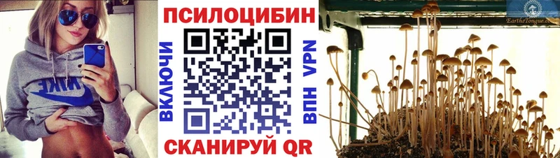 Псилоцибиновые грибы Cubensis  наркота  Таштагол 